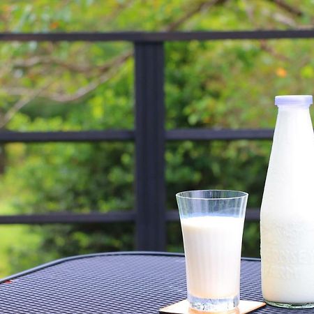 The Guernsey Hotel & Resort Taketa Eksteriør billede